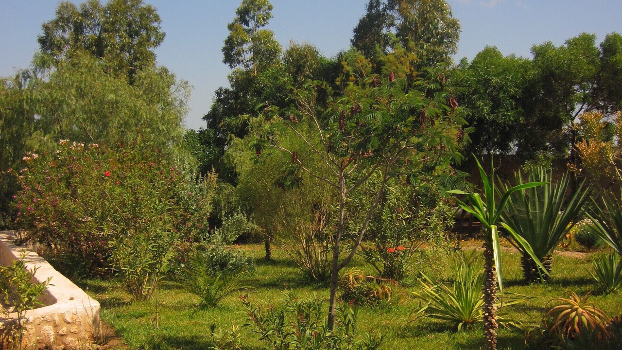 Photo of Outdoor in Sidi Kaouki