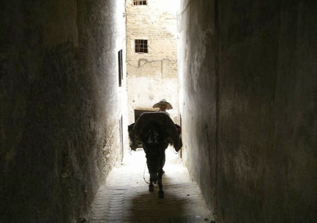 Photo of Others in Talaa