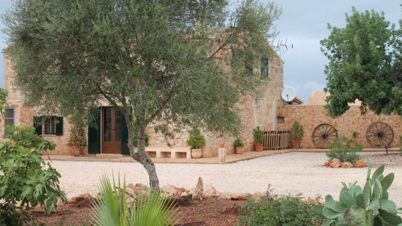 Photo of Outdoor in Son Antem