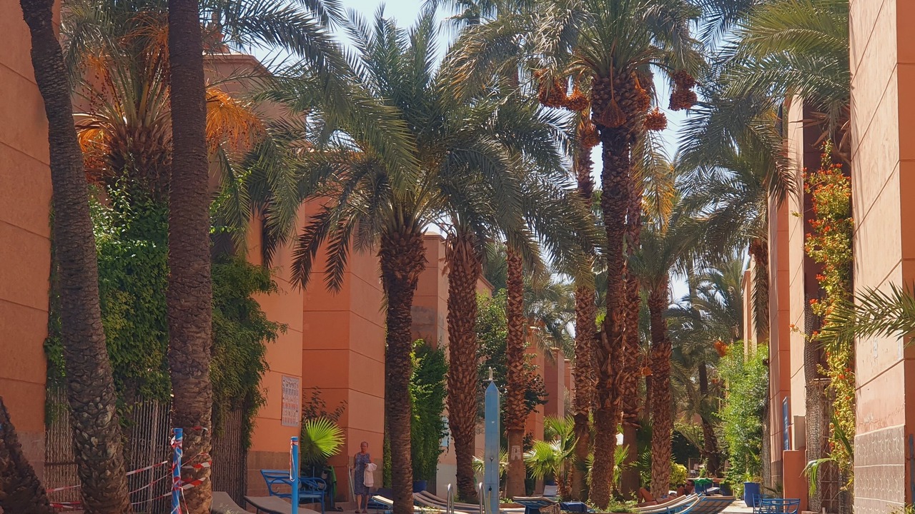 Photo of Outdoor in Marrakech