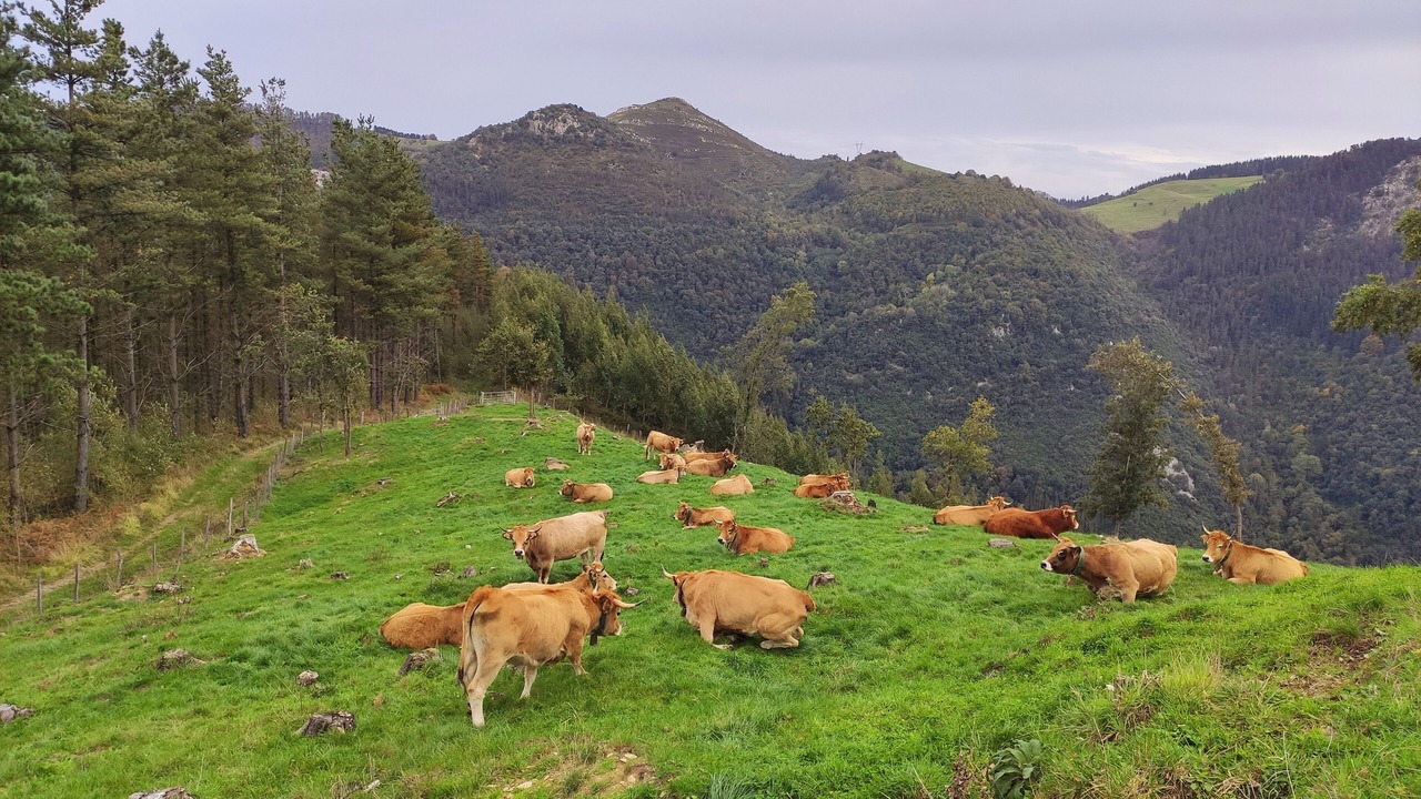 Photo of Outdoor in Azpilgoeta