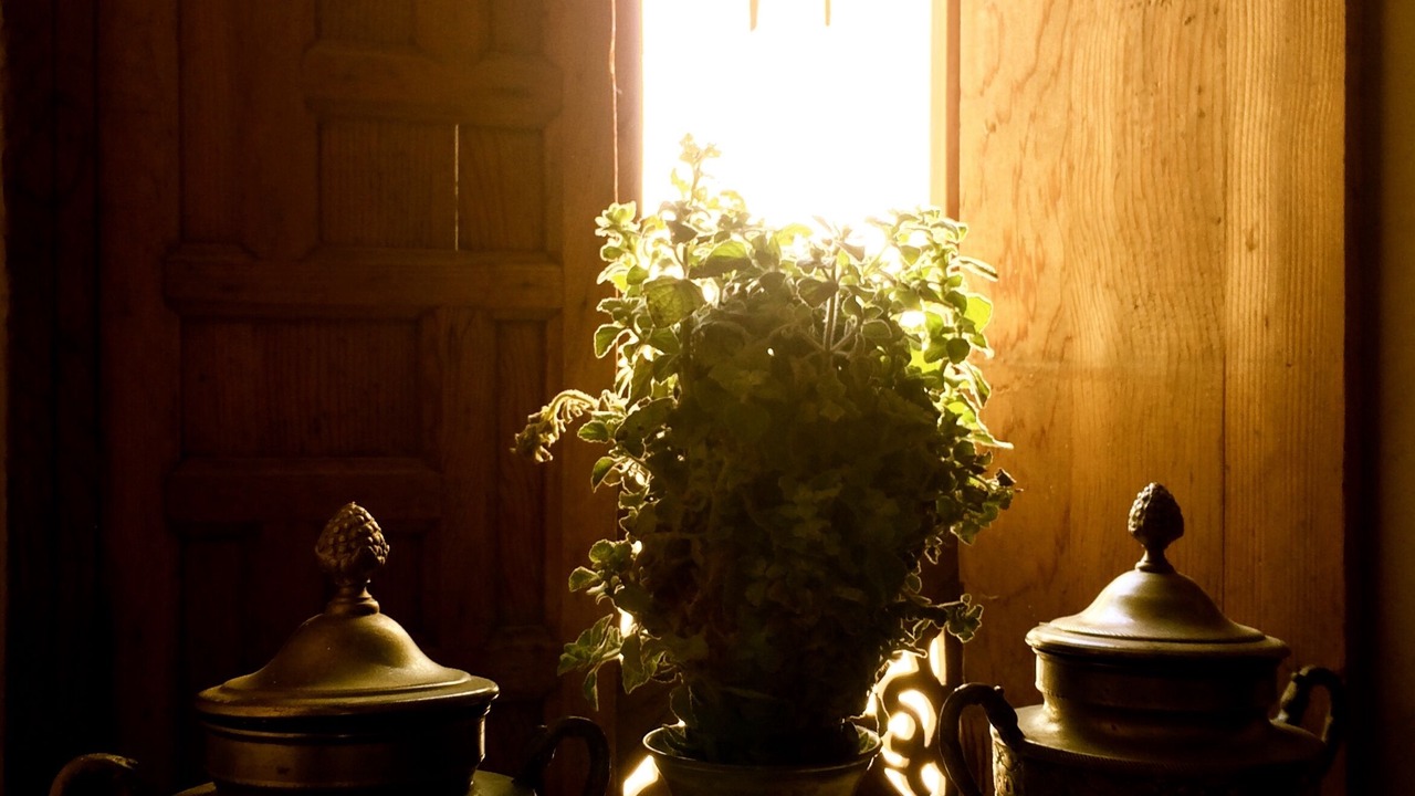 Photo of Others in Medina of Tangier