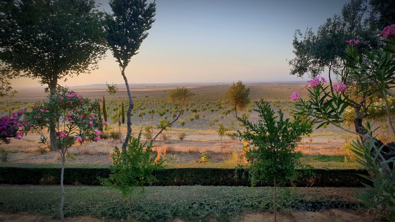 Photo of Outdoor in Carmona