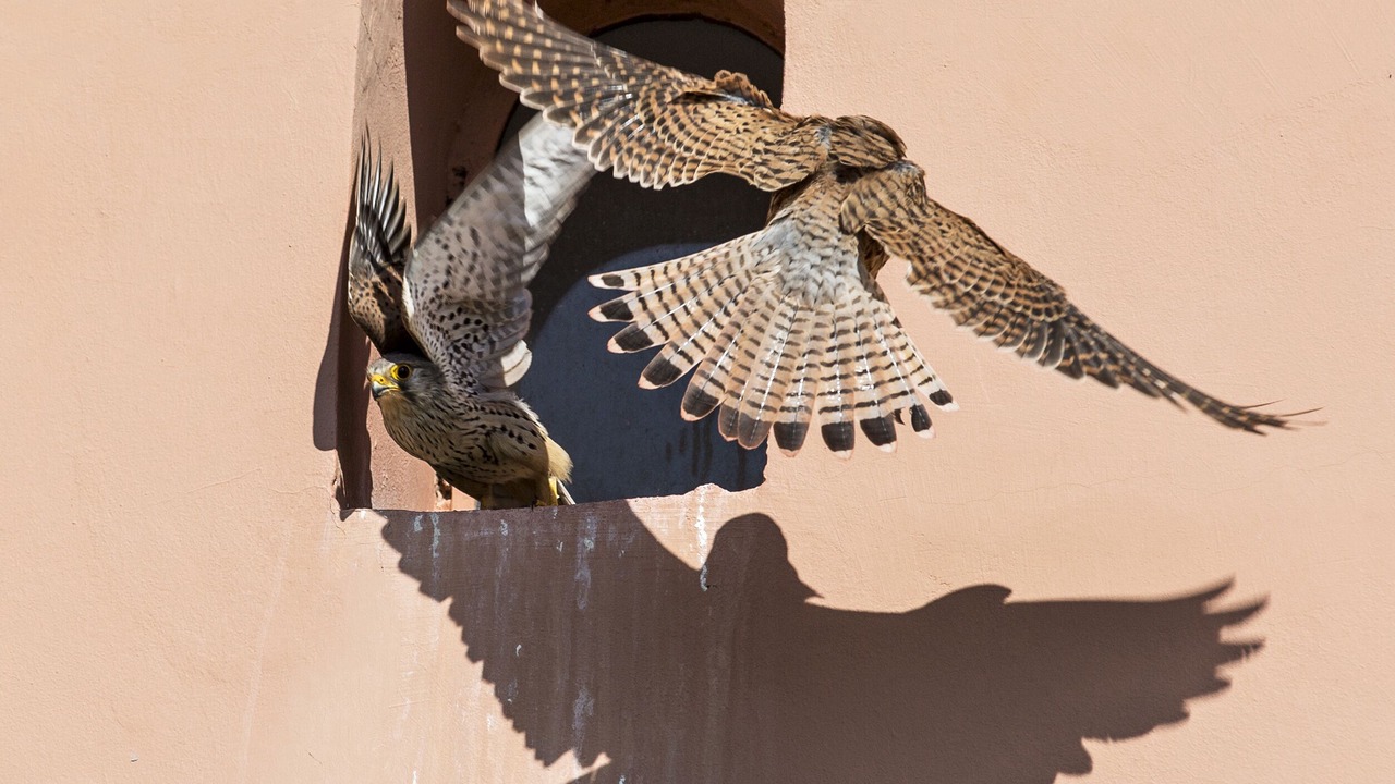 Photo of Outdoor in Ghazoua