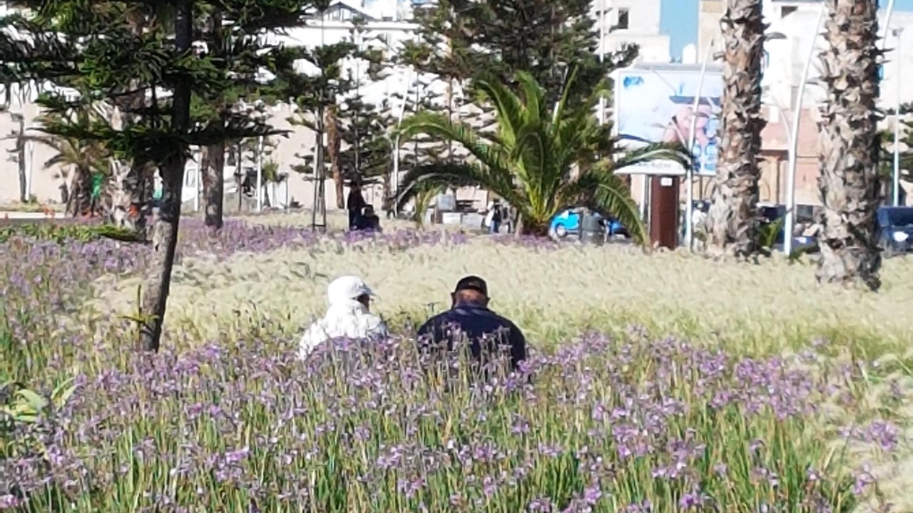 Photo of Outdoor in Essaouira Coast