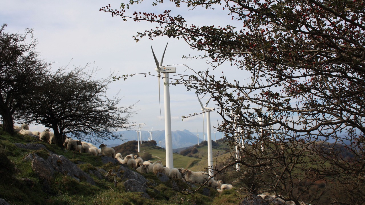 Photo of Outdoor in Beruete