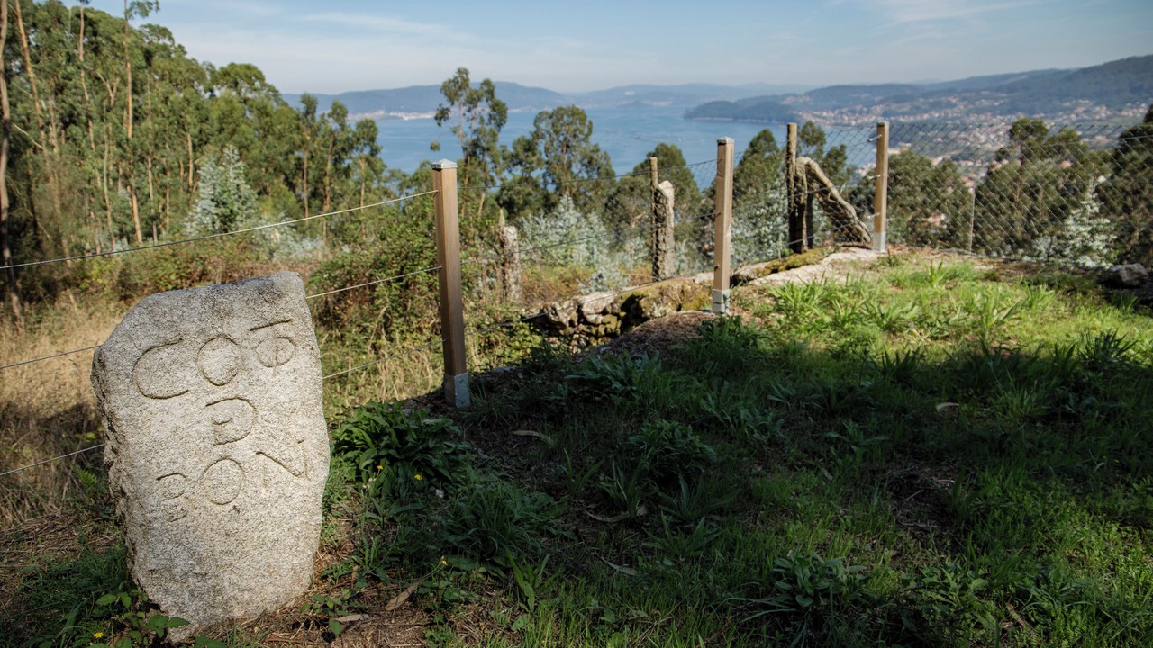 Photo of Outdoor in Bueu