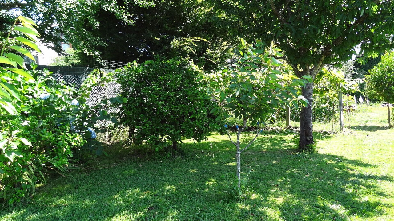 Photo of Outdoor in Teo