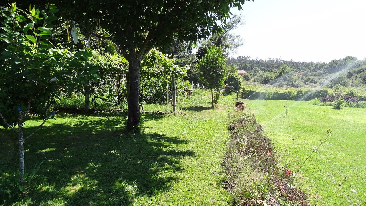 Photo of Outdoor in Teo