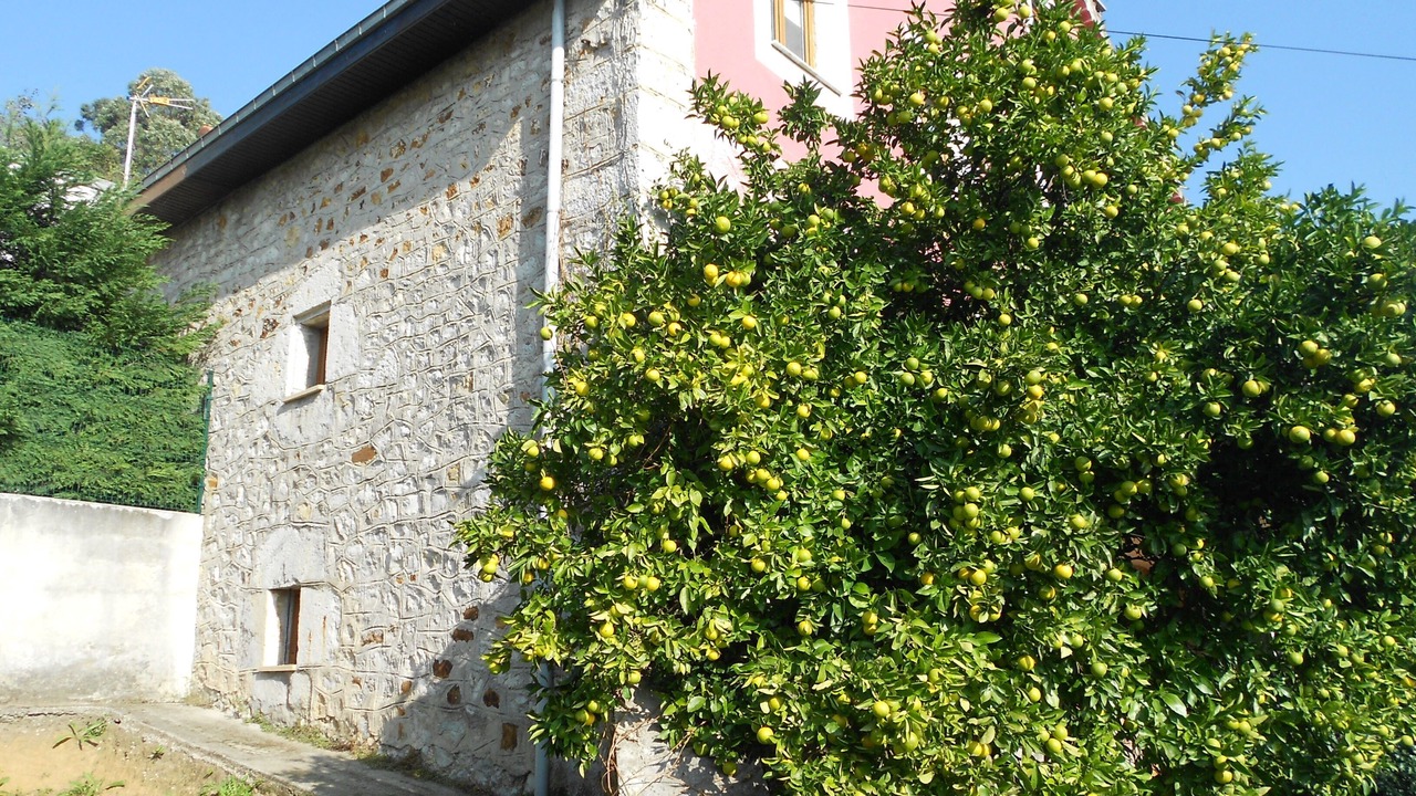 Photo of Outdoor in Guarnizo