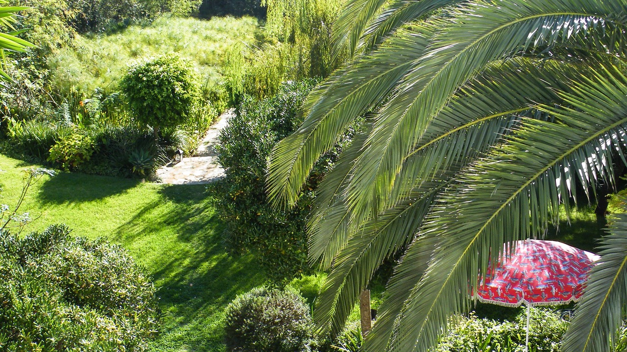 Photo of Outdoor in Tangier