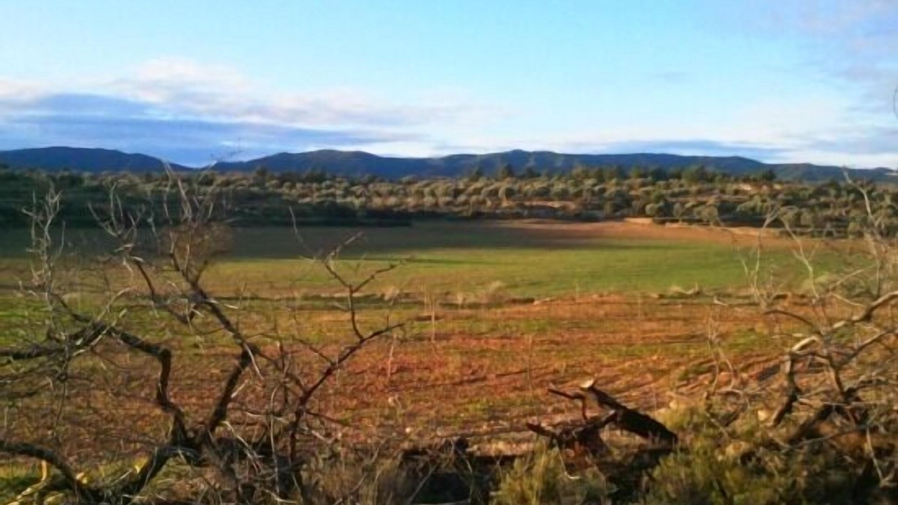Photo of Outdoor in La Codonera