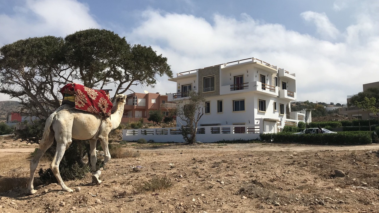 Photo of Outdoor in Tamrhakht