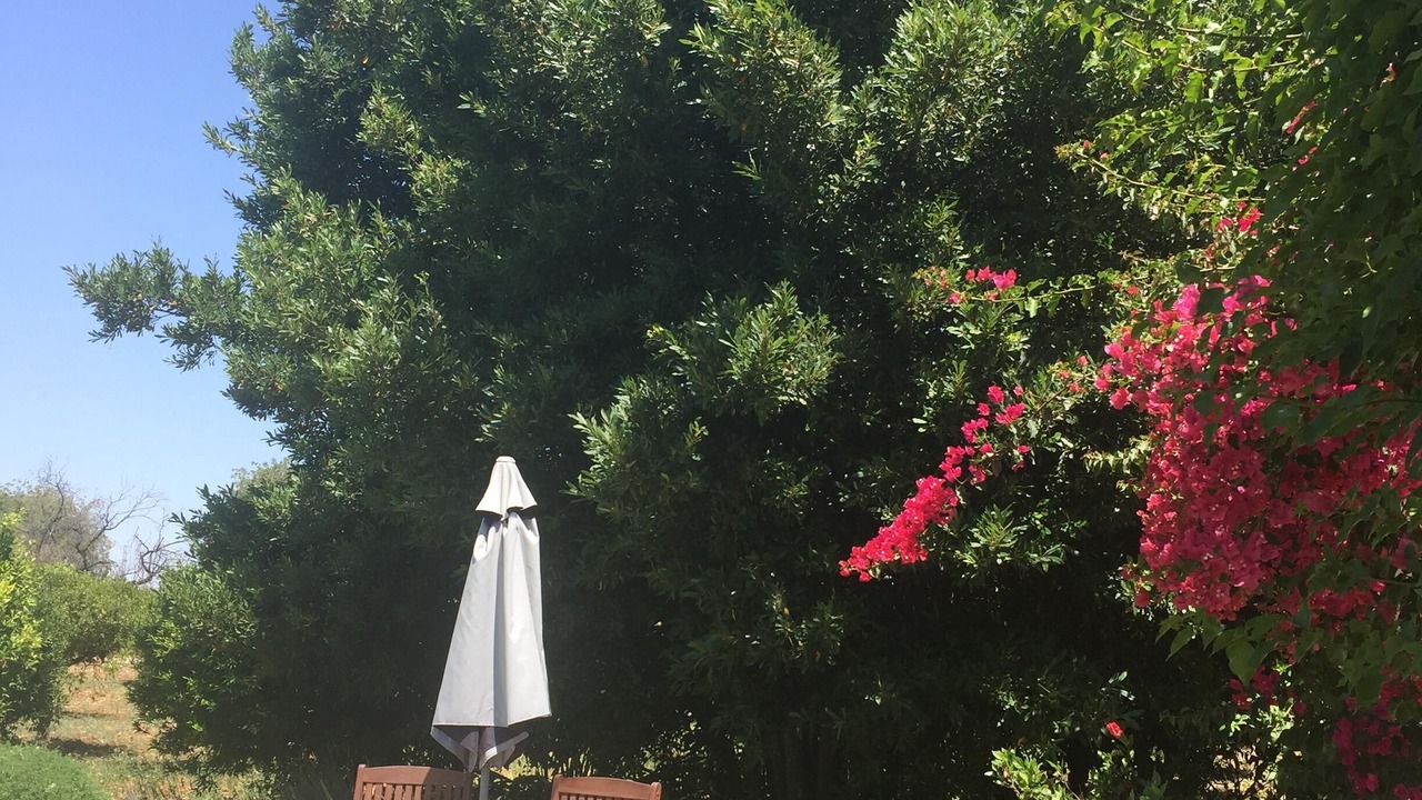 Photo of Outdoor in Alhaurin el Grande