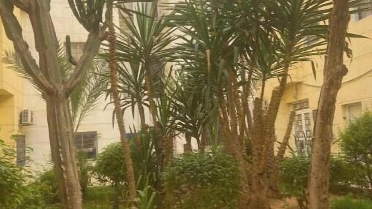 Photo of Outdoor in Agadir