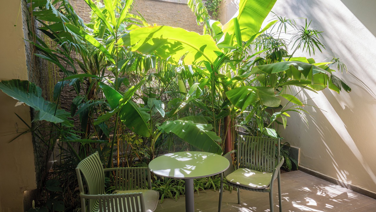 Photo of Outdoor in Agdal