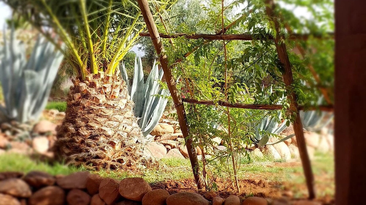 Photo of Outdoor in Ourika