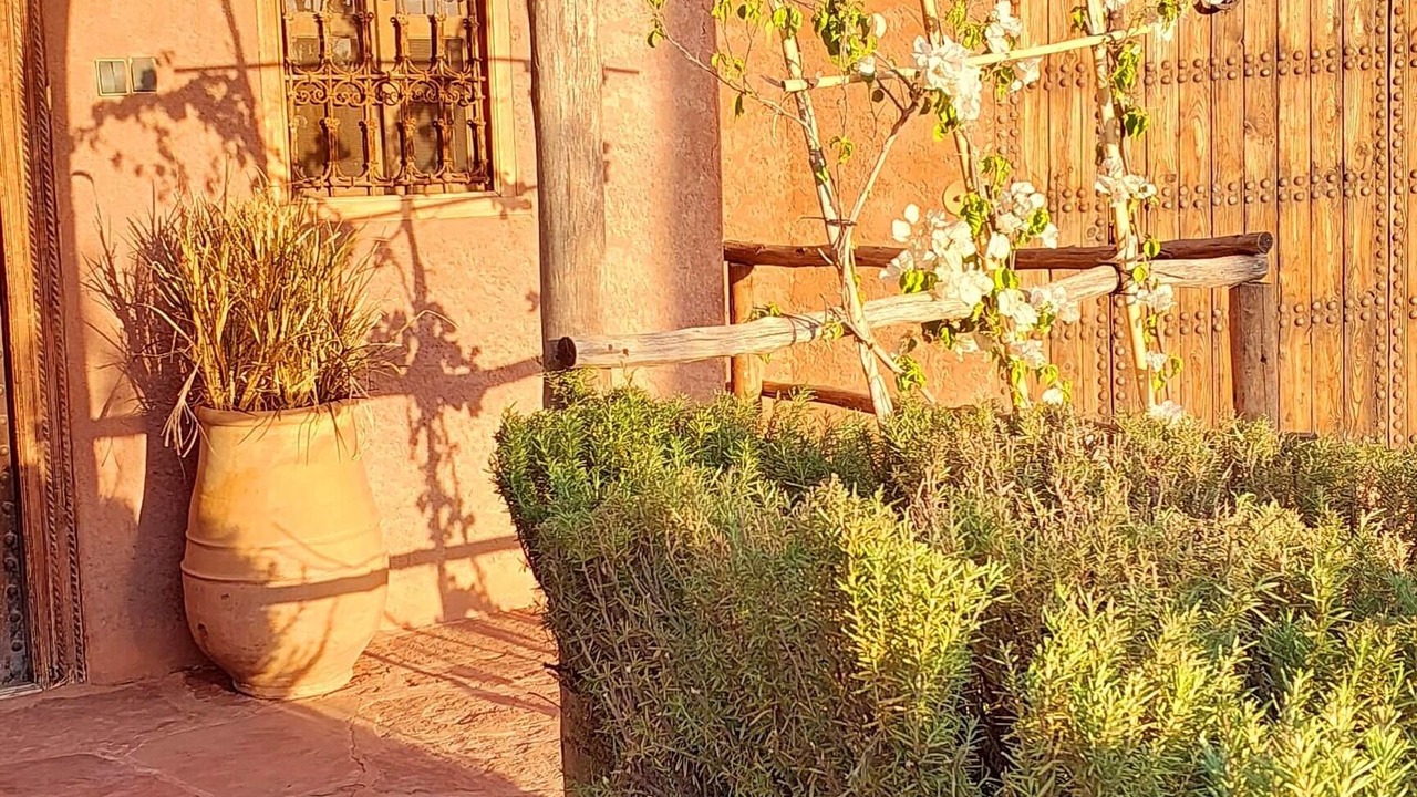 Photo of Outdoor in Ourika