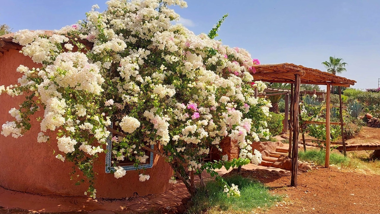 Photo of Others in Ourika