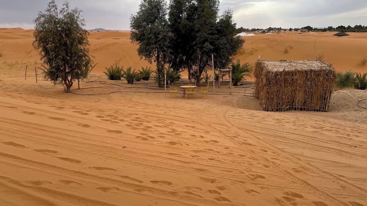 Photo of Others in Taouz