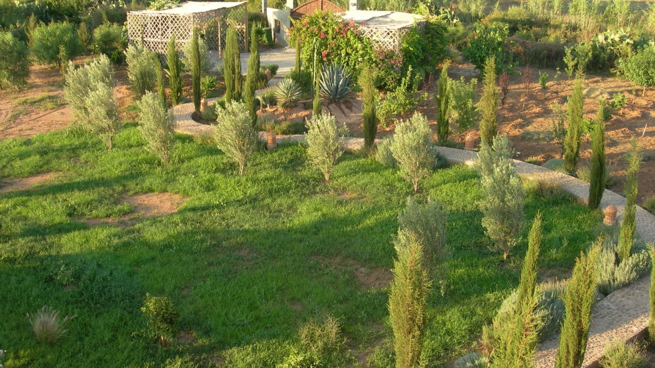 Photo of Others in Sidi Boumoussa