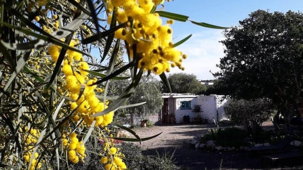 Photo of Outdoor in Sidi Kaouki