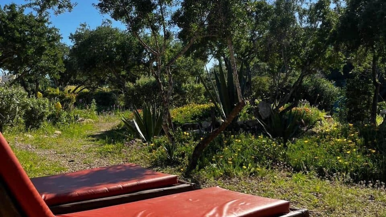 Photo of Outdoor in Sidi Kaouki