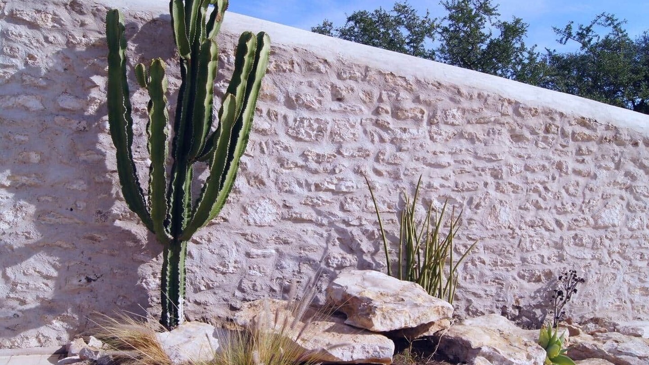 Photo of Outdoor in Sidi Kaouki