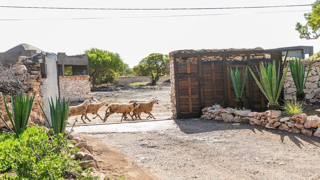 Photo of Others in Sidi Kaouki