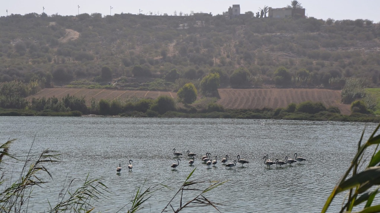Photo of Others in Oualidia