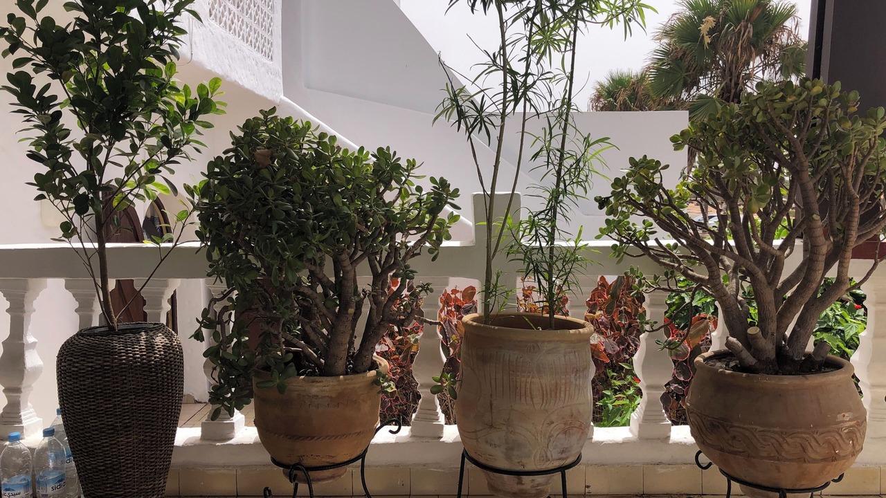 Photo of Patio Balcony in Oualidia