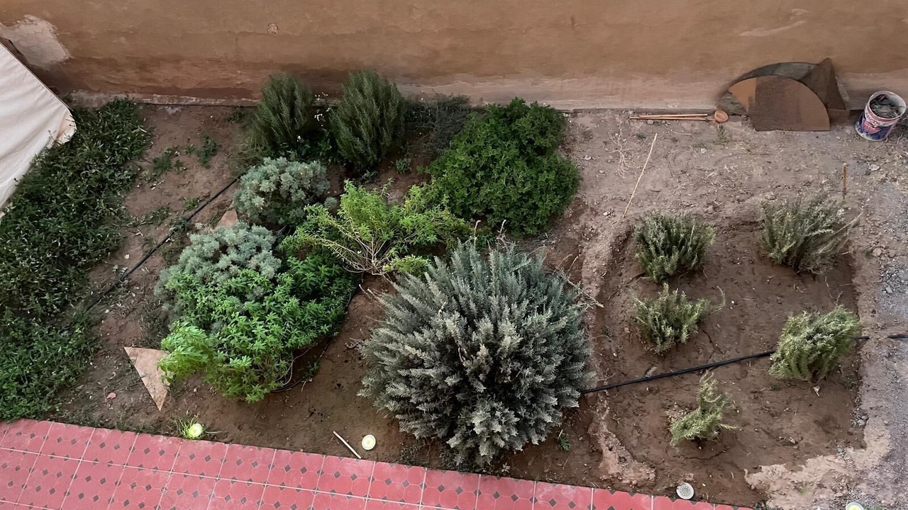 Photo of Outdoor in Lalla Takarkoust