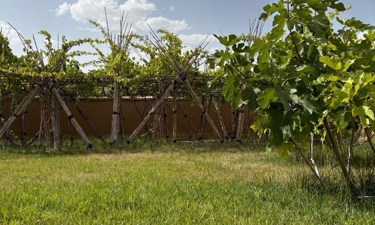 Photo of Outdoor in Lalla Takarkoust