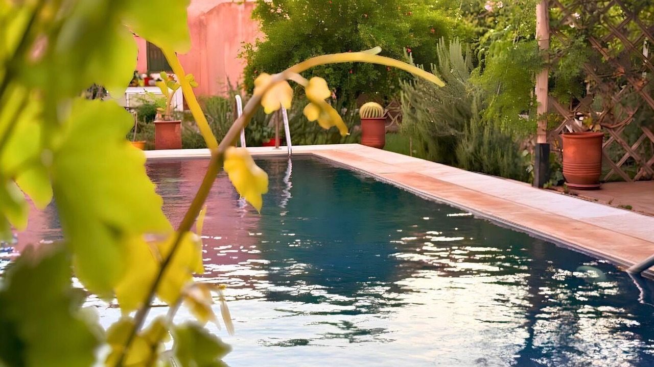 Photo of Outdoor in Sidi Moussa Lhamri