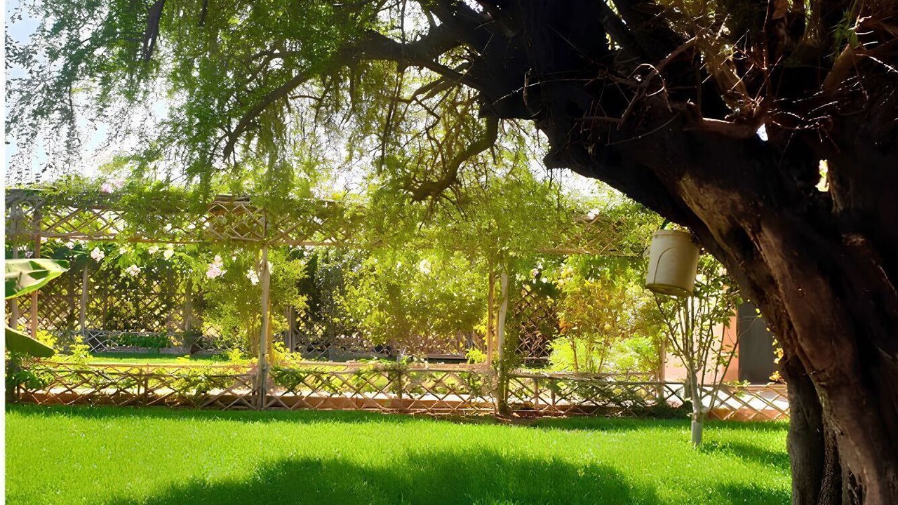 Photo of Outdoor in Sidi Moussa Lhamri
