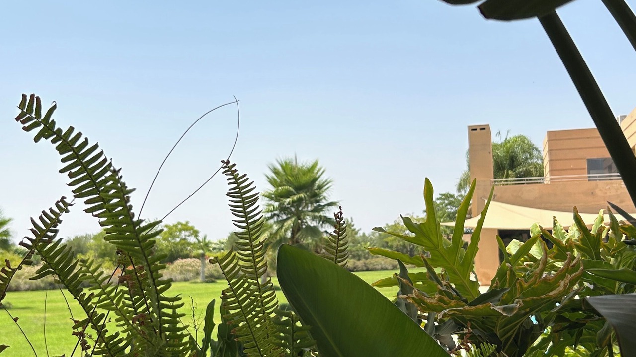 Photo of Outdoor in Zaouia Sidi Abdallah Ben Sassi