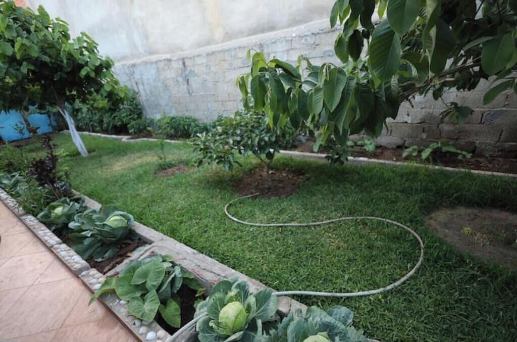 Photo of Outdoor in Miramar