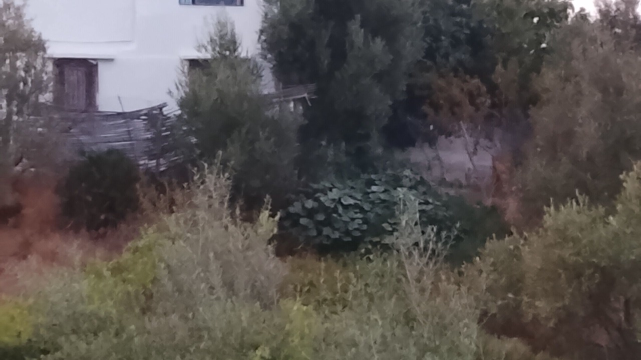 Photo of Outdoor in Chefchaouen