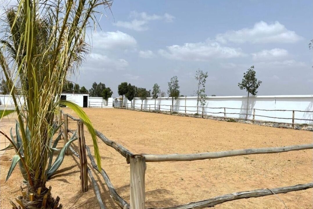 Photo of Outdoor in Tassoultante