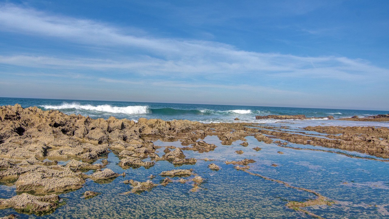 Photo of Others in Harhoura