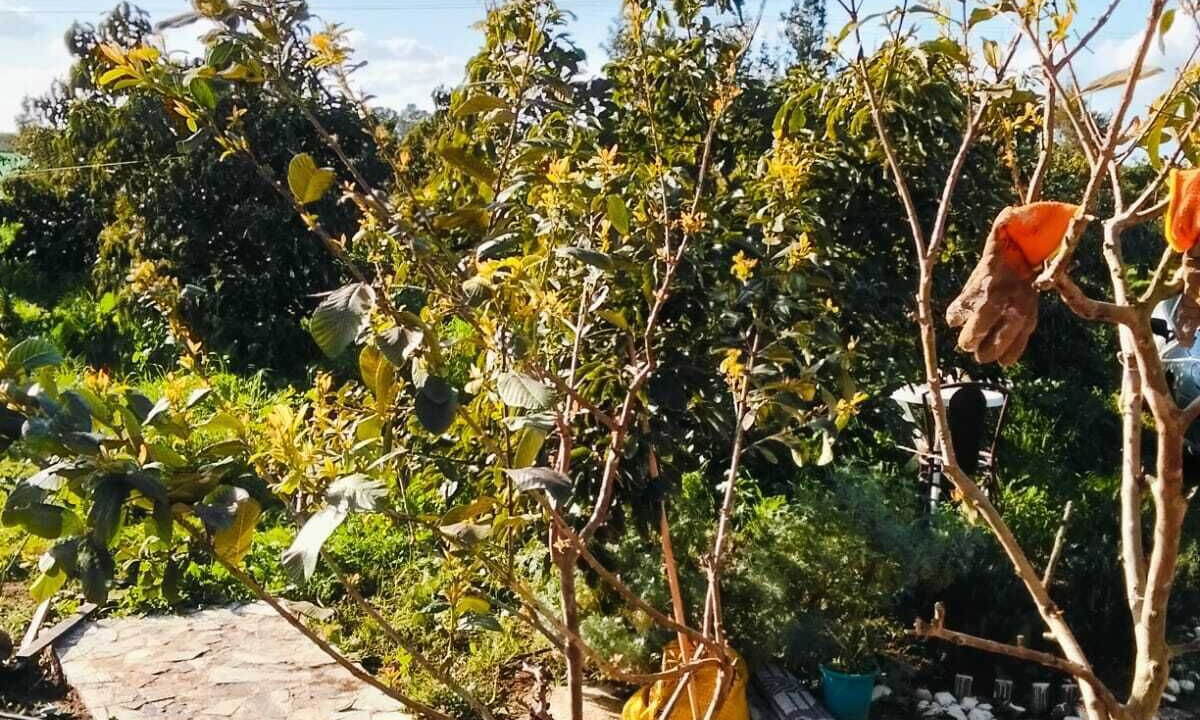 Photo of Outdoor in Rabat