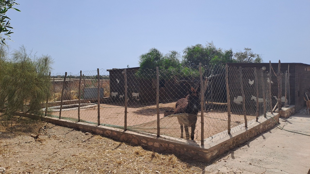 Photo of Outdoor in Ounagha