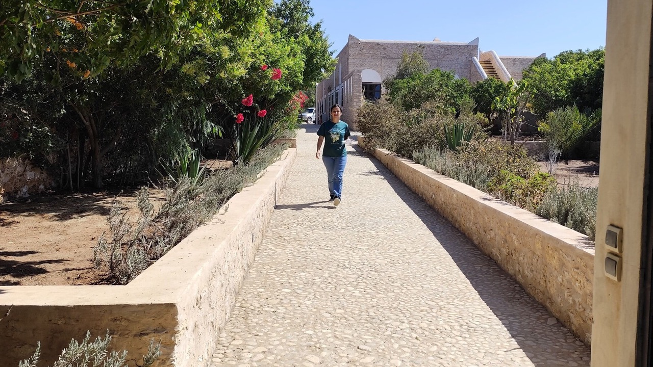 Photo of Outdoor in Ounagha