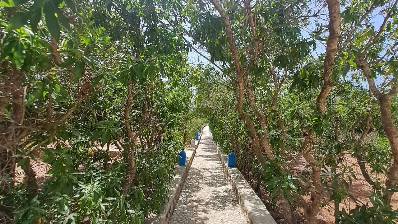 Photo of Outdoor in Ounagha