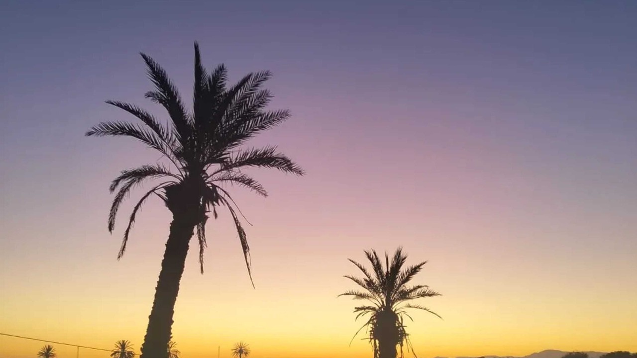Photo of Others in Sidi Bibi