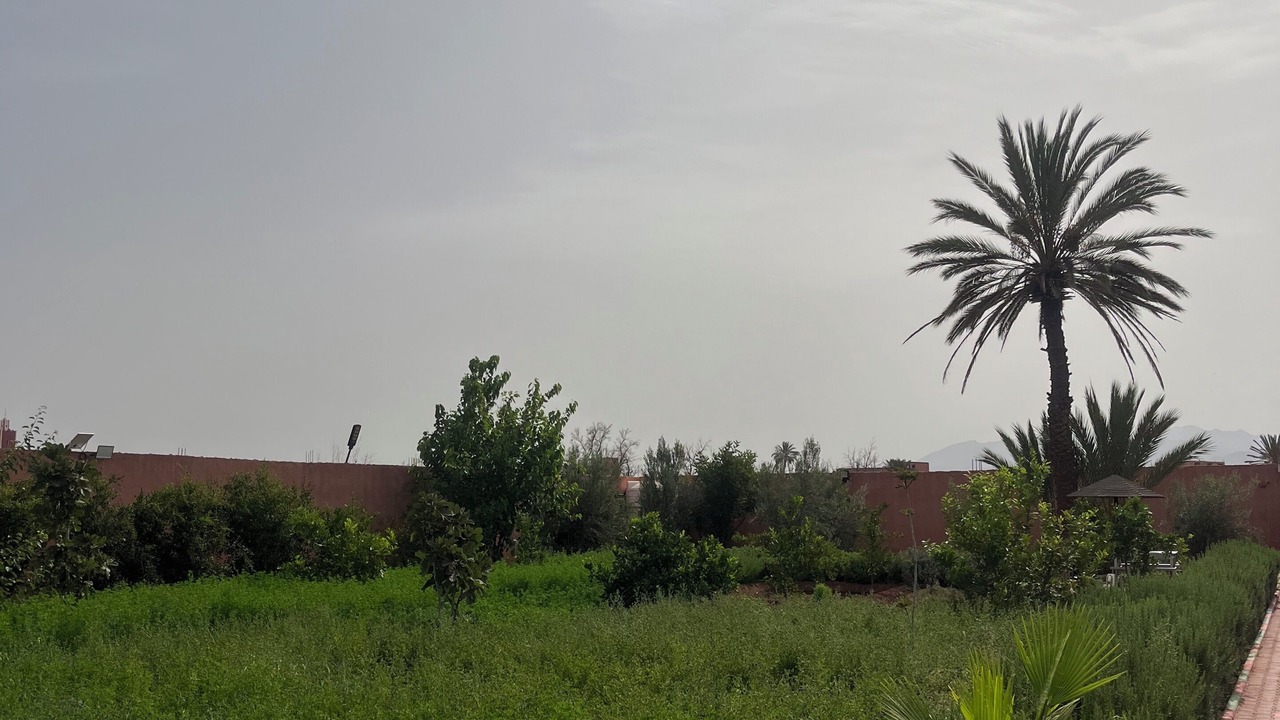 Photo of Outdoor in Eddir