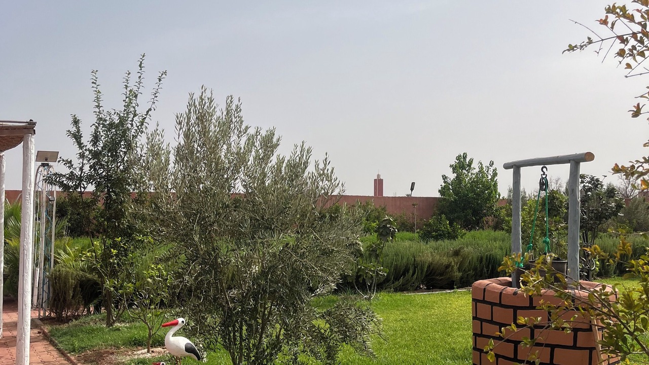 Photo of Outdoor in Eddir