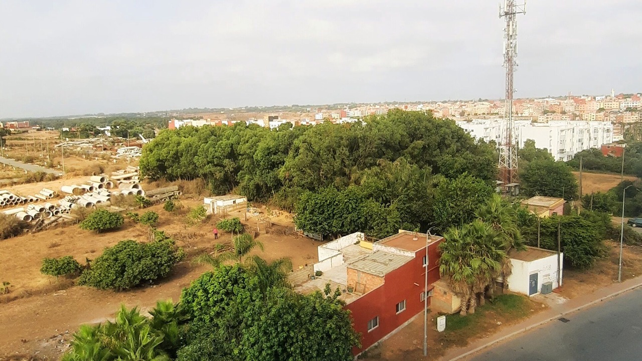Photo of Outdoor in Sidi Bouqnadel
