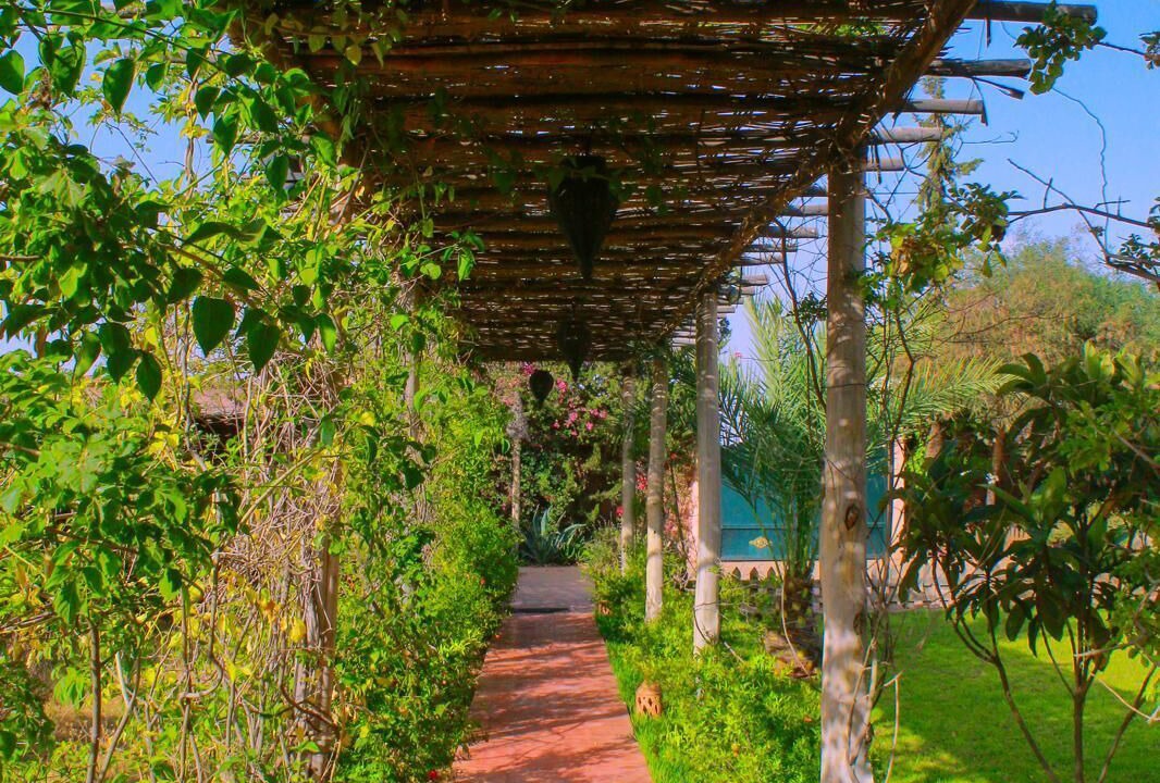 Photo of Outdoor in Aghouatim