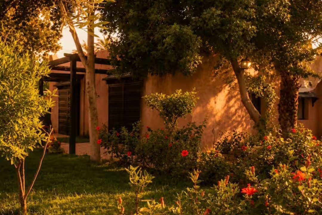 Photo of Outdoor in Palmeraie